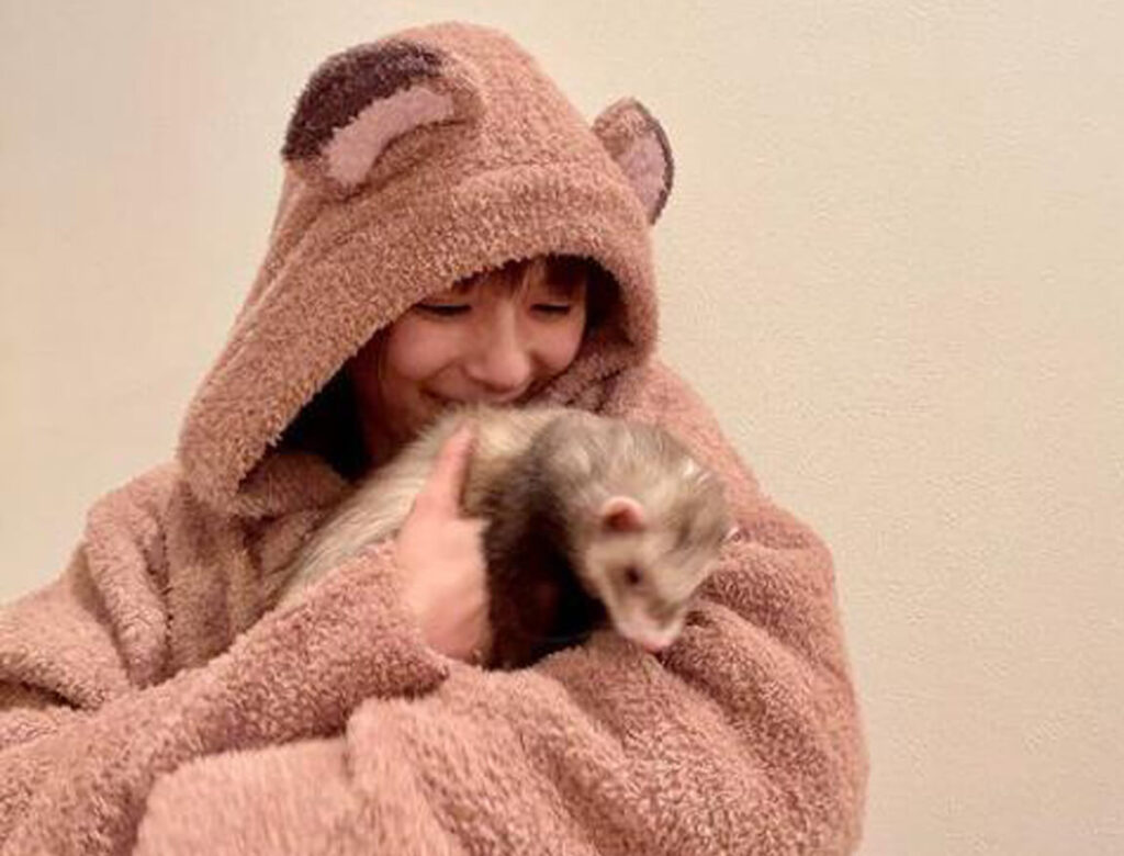 【画像】芳根京子のフェレット(たぬこ)がかわいい！犬と猫もあわせて！